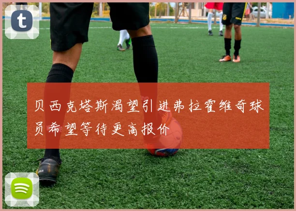 贝西克塔斯渴望引进弗拉霍维奇球员希望等待更高报价